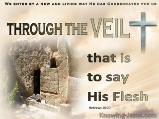 Hebrews 10:20 A New And Living Way (beige)
